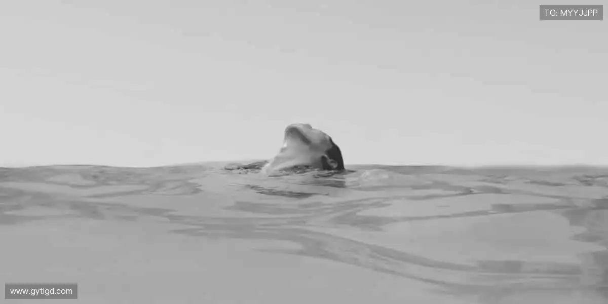 💻 零时差直播,与全球球迷同频热血!